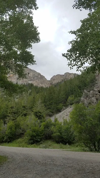 Pass Creek Narrows Picnic Site 2