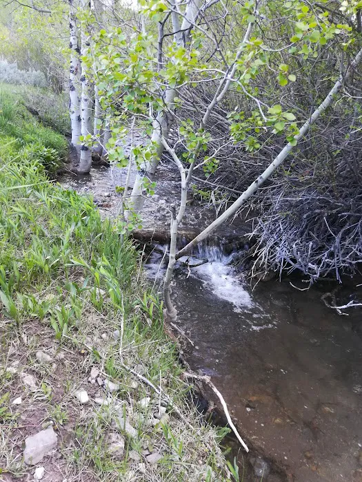 Bear Creek Campground 2