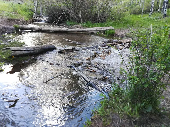 Bear Creek Campground 8