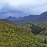 Loristica Group Campground