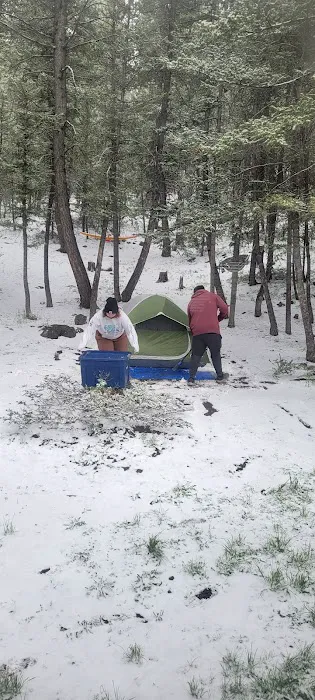 Loristica Group Campground 9