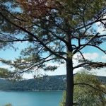 Big Mallard Creek Campground