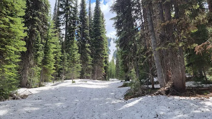 Orogrande Summit Campground 0
