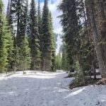 Orogrande Summit Campground