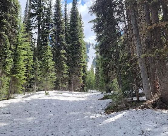Orogrande Summit Campground