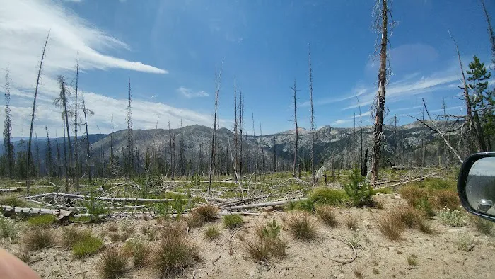 Orogrande Summit Campground 2