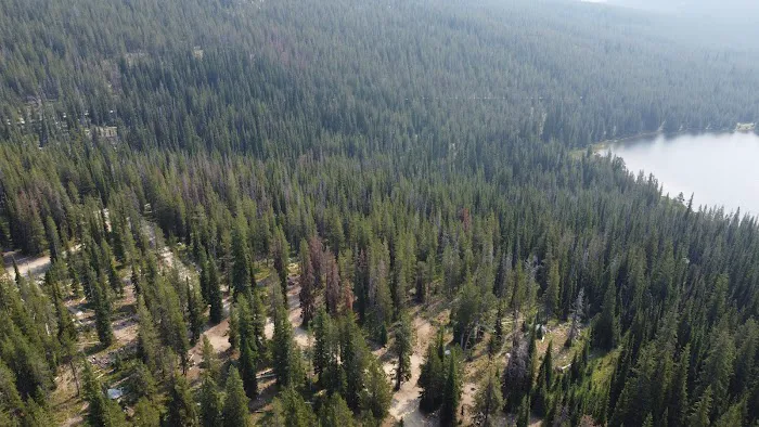 Wildhorse Lake Campground 9