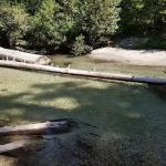 Two Color Campground