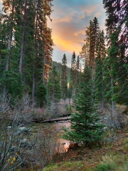 Two Color Campground 5