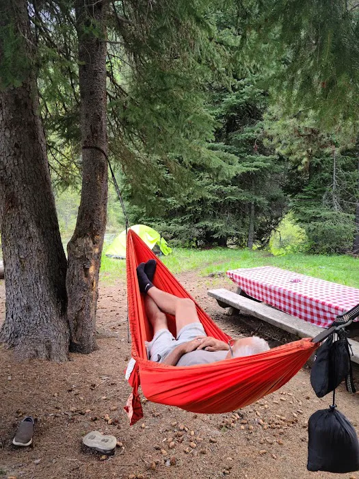 Turkey Flat Forest Camp 0