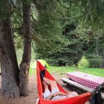 Turkey Flat Forest Camp