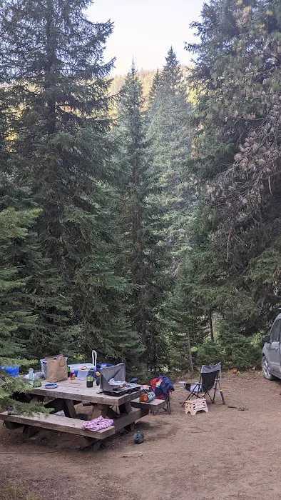 Turkey Flat Forest Camp 2