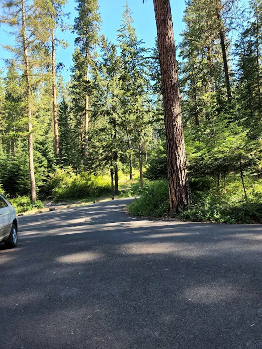 Chatcolet Campground 6