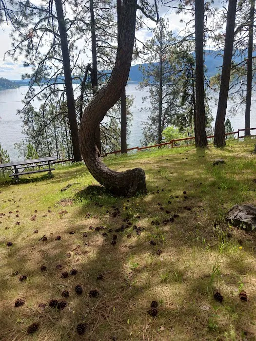 Chatcolet Campground 7