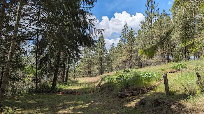 Harrison Bluffs Campground 8