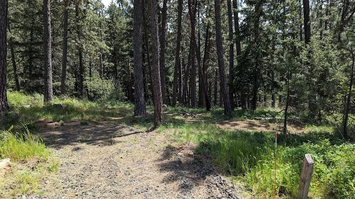 Harrison Bluffs Campground 9