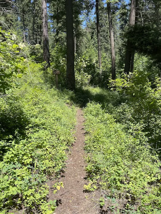 Bell Bay Campground 6