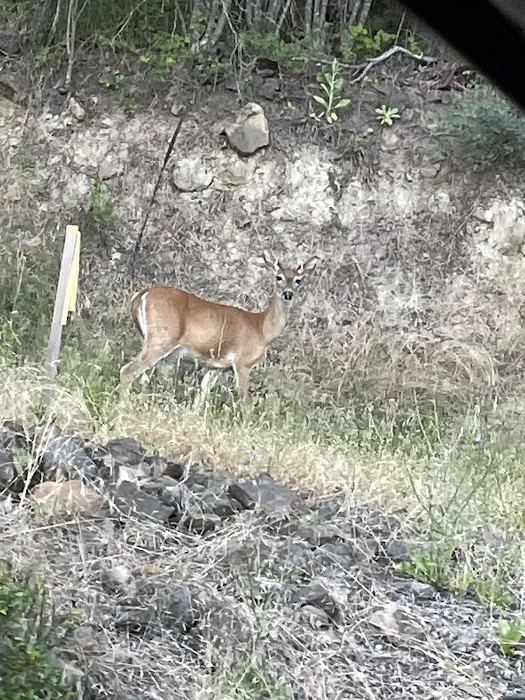 Bell Bay Campground 9