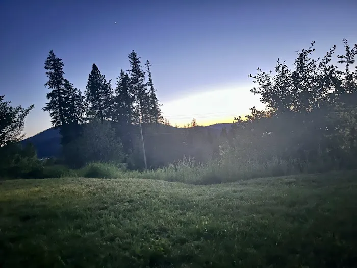Camp Swan Lake 5