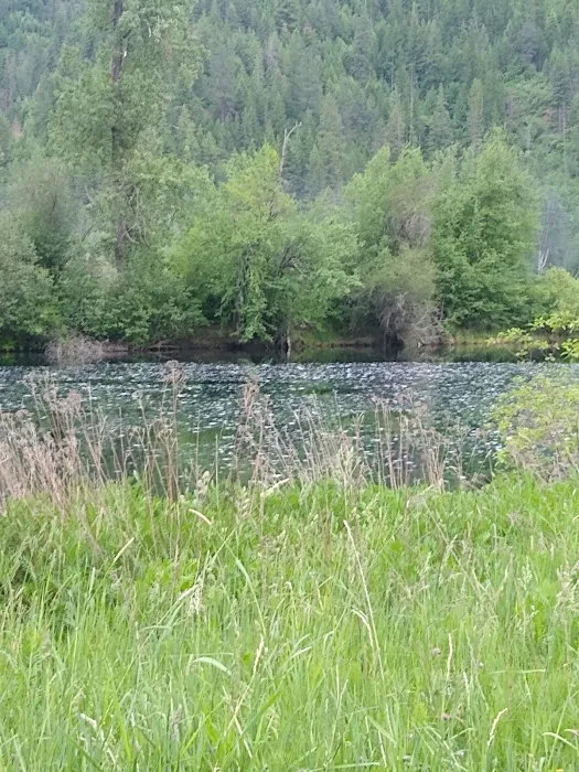 Misty Meadows RV Park 1