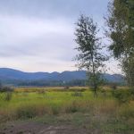 Rainy Hill Campground