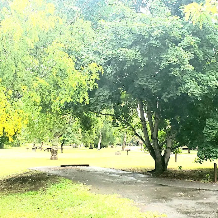 Shadowy Saint Joe Campground 9