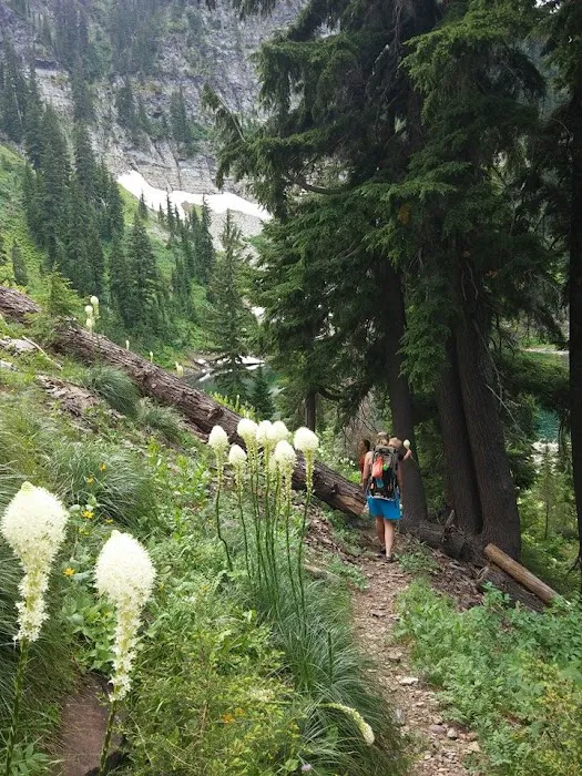 Lost Moose Campground 5