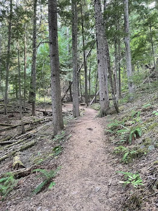 Beauty Creek Campground 5