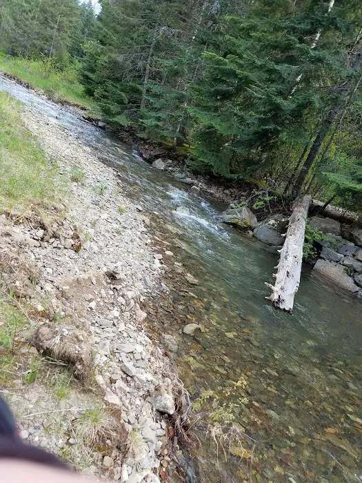 Beauty Creek Campground 4