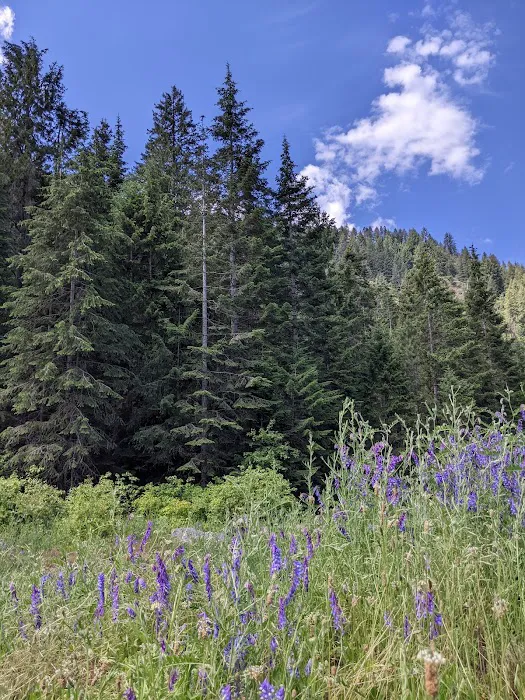 Beauty Creek Campground 3