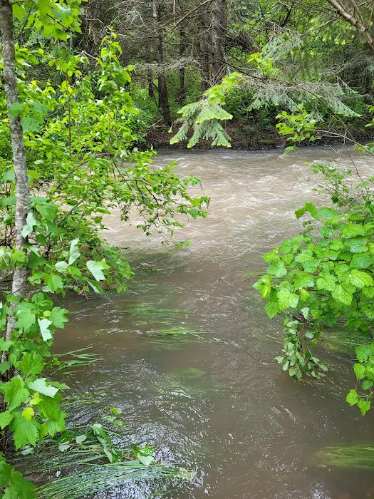 Beauty Creek Campground 6