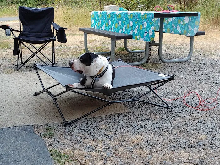 Huckleberry Campground 4