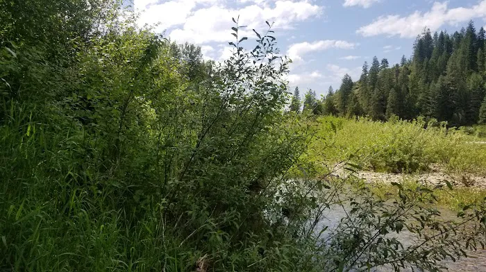 Huckleberry Campground 5