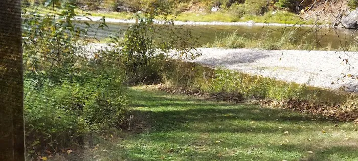 Huckleberry Campground 7