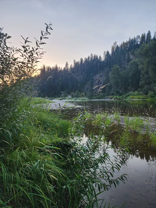 Huckleberry Campground 9
