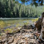 Aquarius Campground and Purple Beach Group Site