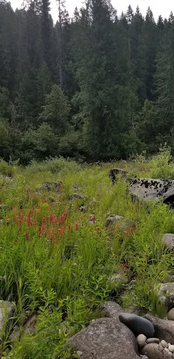 Washington Creek Campground 4
