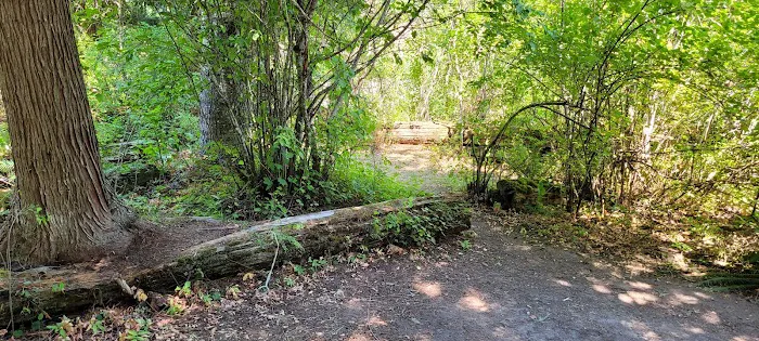 Washington Creek Campground 7