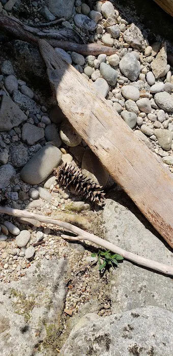 Washington Creek Campground 9