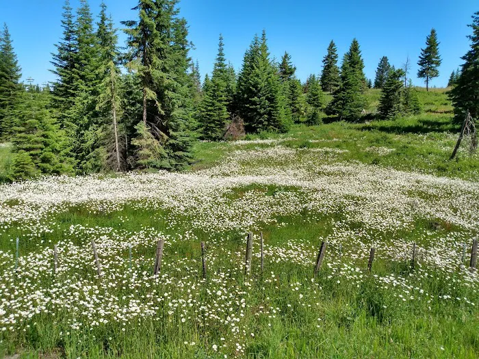 Soldier's Meadow Reservoir 2