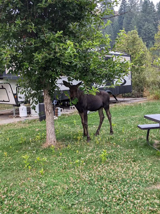 By The Way Campground 9