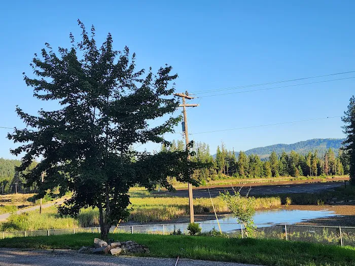 Alex’s Campground 5