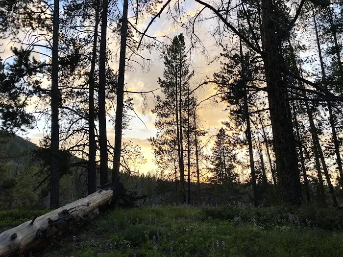 Little Joe Campground and Picnic Area 3