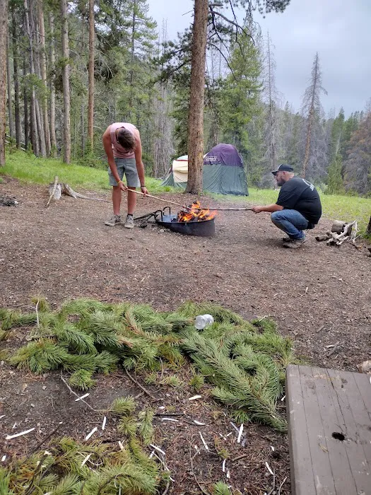 Little Joe Campground and Picnic Area 2