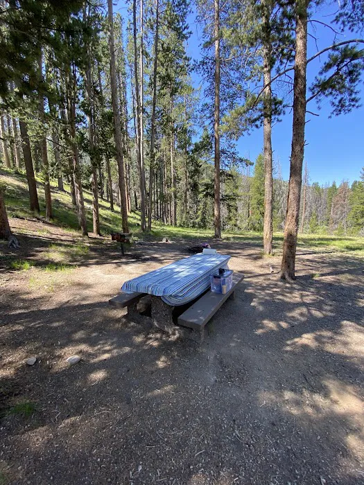 Little Joe Campground and Picnic Area 6