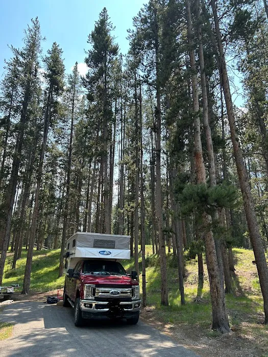 Little Joe Campground and Picnic Area 7