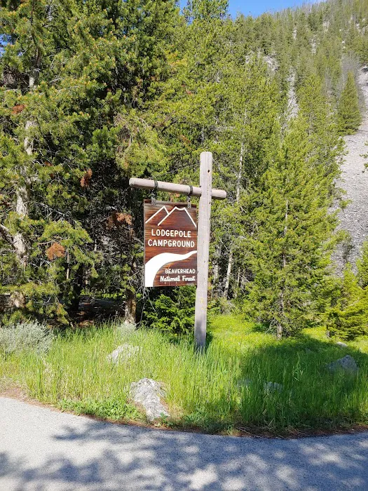 Lodgepole Campground 1