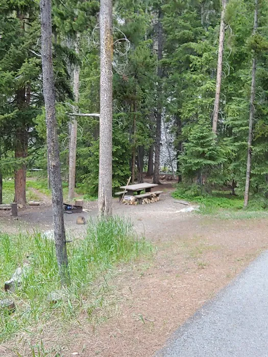 Lodgepole Campground 0