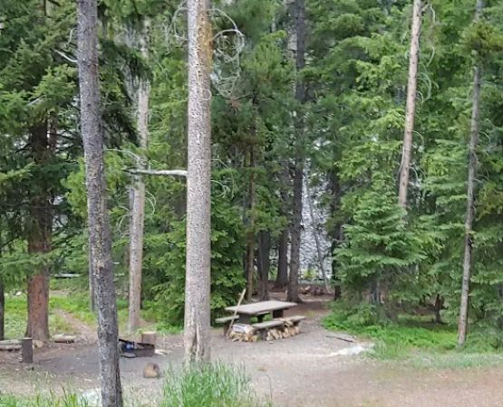 Lodgepole Campground