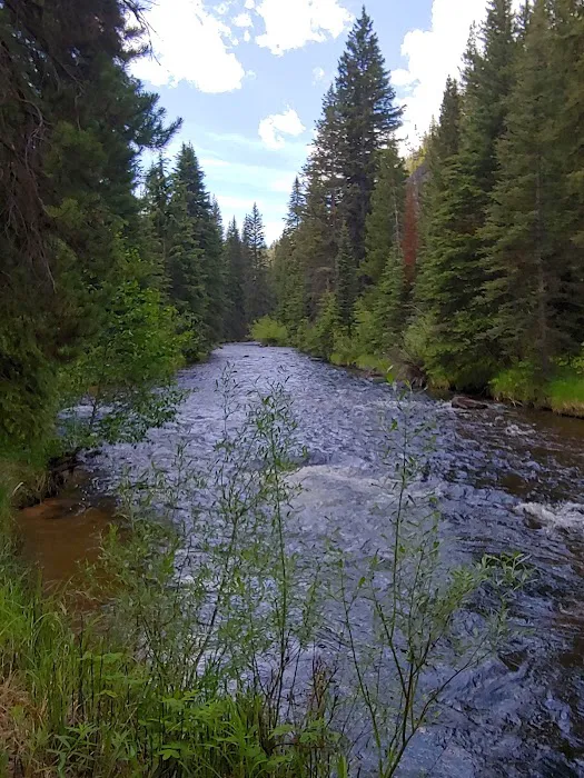 Lodgepole Campground 2